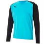 Puma teamPACER GK LS vyriškas vartininko megztinis mėlynai-juodas XL