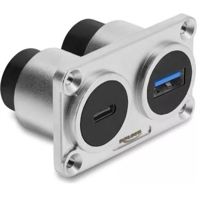 Delock Dual Panel Mount USB 3.2 Gen 1 Type-A Female + USB 3.2 Gen 2 Type-C Female su 100 W Power Delivery, sidabrinis