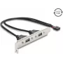 Delock USB 2.0 lizdo laikiklis su 2 x EASY USB Type-A prievadais