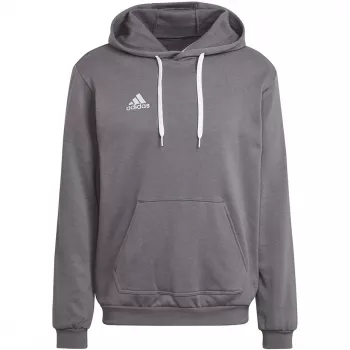 adidas Entrada 22 gobtuvas pilkas HB0578 M