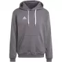 adidas Entrada 22 gobtuvas pilkas HB0578 M