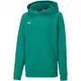 PUMA teamGOAL 23 Casuals Hoody Jr megztinis Forest Green 128