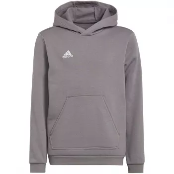 adidas Entrada 22 gobtuvas vidutinio pilkumo Heather vaikams 128 cm