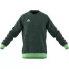 adidas Tiro 23 Competition Crew vyriškas megztinis, komandų žalia, HU1324