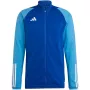 adidas Tiro 23 Competition Training vyriškas megztinis, komandinė tamsiai mėlyna HU1305