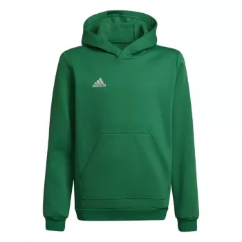 adidas Entrada 22 Hoody vaikiškas megztinis žalia 116cm