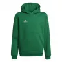 adidas Entrada 22 Hoody vaikiškas megztinis žalia 116cm