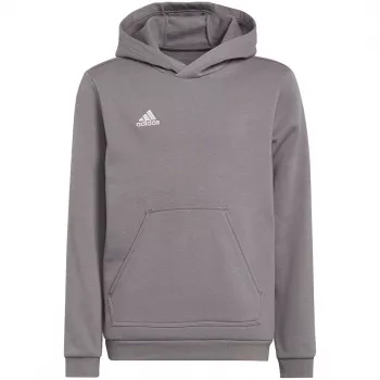 adidas Entrada 22 vaikiškas gobtuvu megztinis pilkas 152 cm