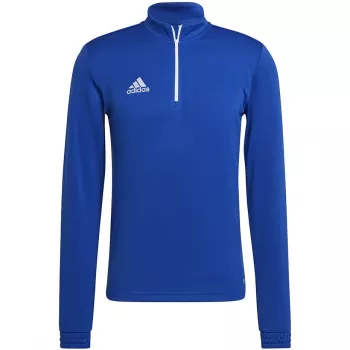 adidas Entrada 22 treniruočių viršus vyrams, komandinė karališkai mėlyna/balta, megztinis, M dydis