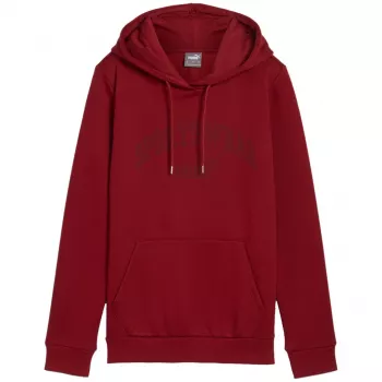 PUMA vyriškas Essentials+ Logo LAB gobtuvas FL bordo spalvos L dydis