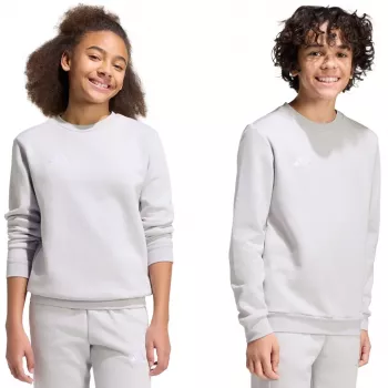 adidas Entrada 26 vaikiškas megztinis pilkas 140 cm JZ6551