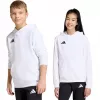 adidas Entrada 26 vaikiškas gobtuvas baltas JZ6561 152cm