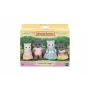 EPOCH Sylvanian Families Persų kačių šeimyna