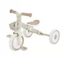 Tribike mokomasis triratis 2-in-1 Plus 737-466