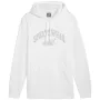 PUMA ESS+ Logo LAB Gradient Megztinis su gobtuvu FL Puma White Medium