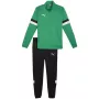 PUMA vyriškas Team Rise pilno užtrauktuko sportinis kostiumas Forest Night/Puma Black dydis L