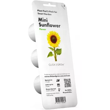 Click & Grow mažųjų saulėgrąžų augalų kapsulės Smart Garden sodui, 3 vnt. (SGR65X3)