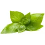 Click & Grow citrininių bazilikų augalų kapsulės Smart Garden sodui, 3 vnt. (SGR76X3)