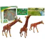 LEAN TOYS Žirafų figūrėlės edukacinės šeima 3 vnt. + Afrikos fonas