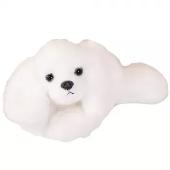 LEAN TOYS minkštas maltos bišono šuo su svorio letenėlėmis, baltas, 30 cm