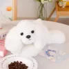 LEAN TOYS minkštas maltos bišono šuo su svorio letenėlėmis, baltas, 30 cm