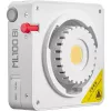 Godox ML100 Bi-color Kit 2 - 100W LED monolight su softbox, stovu, reflektoriumi ir nešiojimo krepšiu