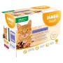 EUKANUBA IAMS DELIGHTS Land Collection šlapias kačių maistas su padažu, 12 x 85g pakeliai, suaugusioms katėms, vištiena, ėriena ir kalakutiena