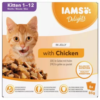 EUKANUBA IAMS DELIGHTS Kačiukams želė šlapias kačių maistas 8x85g