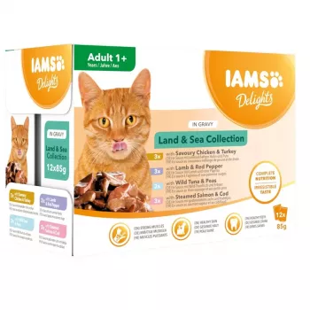 EUKANUBA IAMS DELIGHTS Land & Sea kolekcija šlapių kačių maistas padaže – 12x85g paketėliai (lašiša ir menkė, vištiena ir kalakutiena, ėriena ir raudonoji paprika)