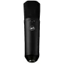 Warm Audio WA-87 R2 BL didelės diafragmos kondensatorinis mikrofonas - nikelio