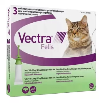 Ceva Vectra Felis blusų lašai katėms – 3 pipetės