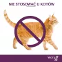 Ceva Vectra 3D Spot-On tirpalas šunims 25-40 kg (3 pipetės)