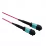 VALUE MPO magistralinis kabelis 50/125µm OM4, MPO/MPO, A tipo, violetinis, 15 m