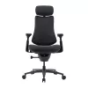 LiberNovo Omni Pro 48 cm ergonomiška kėdė (grafitas)