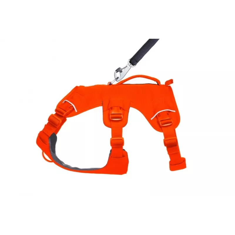 Ruffwear Web Master daugiafunkcinis atraminis šunų pakinktai, ryškiai oranžiniai, M dydis