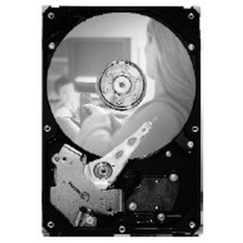 SEAGATE 250GB 3,5 colio ST3250820SCE SATA