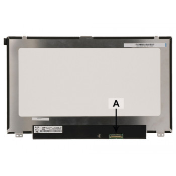 2-power 12,5 colio HD LED AG IPS matinis Dell 9X5G1 (2P-NT125FHM-N42)