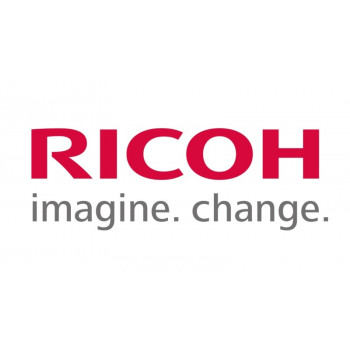 Ricoh D1583890 (D158-3890) ELEKTRODŲ PLOKŠTELĖ: POPIERIAUS ATSKYRIMAS