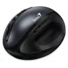 UNITEK Genius Ergo 8300S belaidė ergonominė pelė, 1600 DPI, juoda/pilka