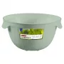 CURVER Kitchen Essentials sulankstomas sietelis žalias 24 cm silikonas ir nailonas