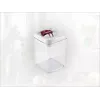 LEIFHEIT Fresh&Easy hermetiškas maisto laikymo indas 1,6 l, be BPA, permatomas su žaliu dangteliu