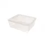 CURVER tekstilinė dėžė su dangčiu, 10L, permatoma, 34,2 x 29,7 x 12,5 cm
