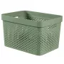 CURVER Infinity perdirbta dėžė 17L 36x27x22cm žalia