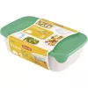 Curver Fresh & Go maisto indų rinkinys, 3 stačiakampiai indai, 2L + 1L + 0,5L, permatomi su spalvotais hermetiškais dangčiais