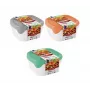 Curver Fresh & Go maisto dubenėlių rinkinys, 3 vnt., po 0,8 L, stačiakampiai, sandarūs dangteliai, įvairių spalvų, be BPA