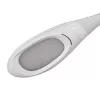 Activejet AJE-RAINBOW RGB stalinė LED lempa su RGB apšvietimo pagrindu