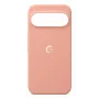 GOOGLE Pixel 11 Pro XL dėklas Canyon PKK4 5B05