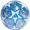 adidas UCL treniruočių futbolo kamuolys baltas ir sidabrinis IN9326 4