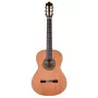 Prodipe Guitars Recital 300 4/4 - klasikinė gitara