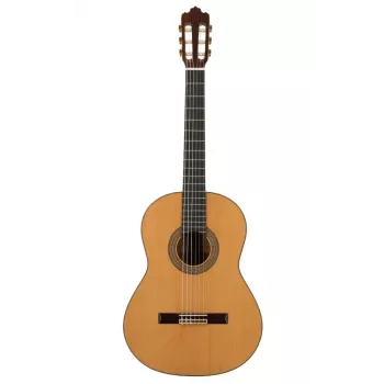 Prodipe Guitars Soloist 700 4/4 - klasikinė gitara